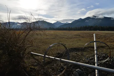 DSC_5841 (Large).JPG